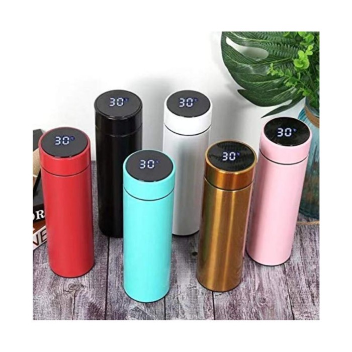 Temperature Display Bottles 500ml