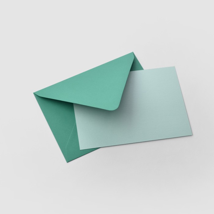 Flat Envelope - 8.75 x 12